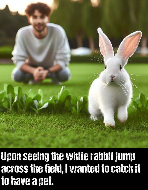 white: Upon seeing the white rabbit jump across the field, I wanted to catch it to have a pet.