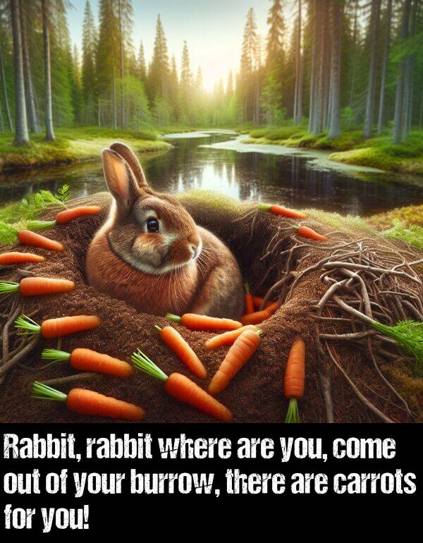where: Rabbit, rabbit where are you, come out of your burrow, there are carrots for you!