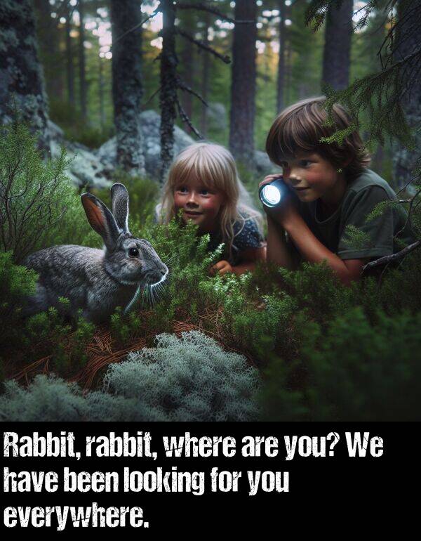 looking: Rabbit, rabbit, where are you? We have been looking for you everywhere.