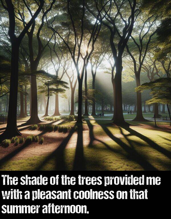 provided: The shade of the trees provided me with a pleasant coolness on that summer afternoon.