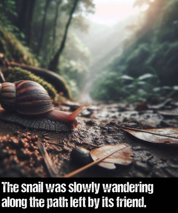 left: The snail was slowly wandering along the path left by its friend.