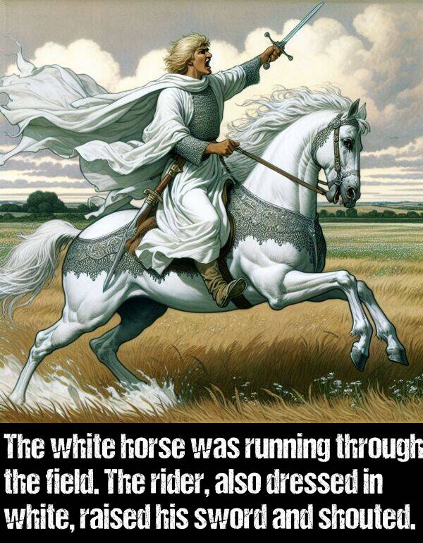 white: The white horse was running through the field. The rider, also dressed in white, raised his sword and shouted.