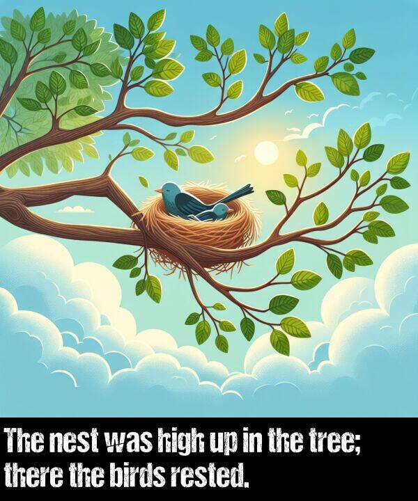 birds: The nest was high up in the tree; there the birds rested.