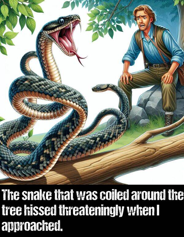 tree: The snake that was coiled around the tree hissed threateningly when I approached.