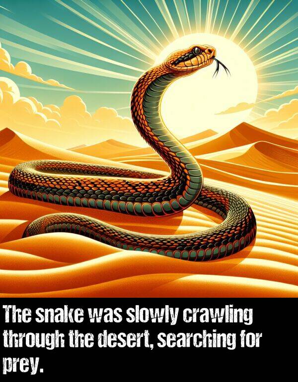 searching: The snake was slowly crawling through the desert, searching for prey.