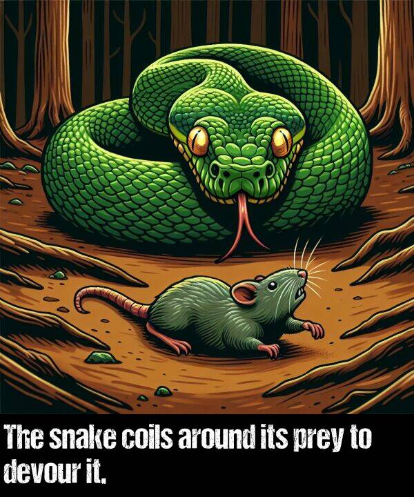 coils: The snake coils around its prey to devour it.