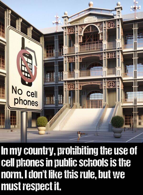 respect: In my country, prohibiting the use of cell phones in public schools is the norm. I don't like this rule, but we must respect it.