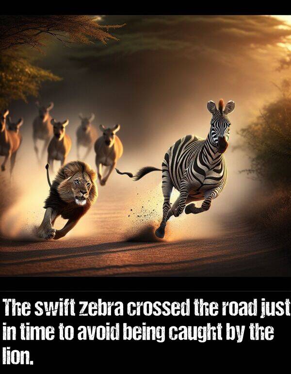 being: The swift zebra crossed the road just in time to avoid being caught by the lion.