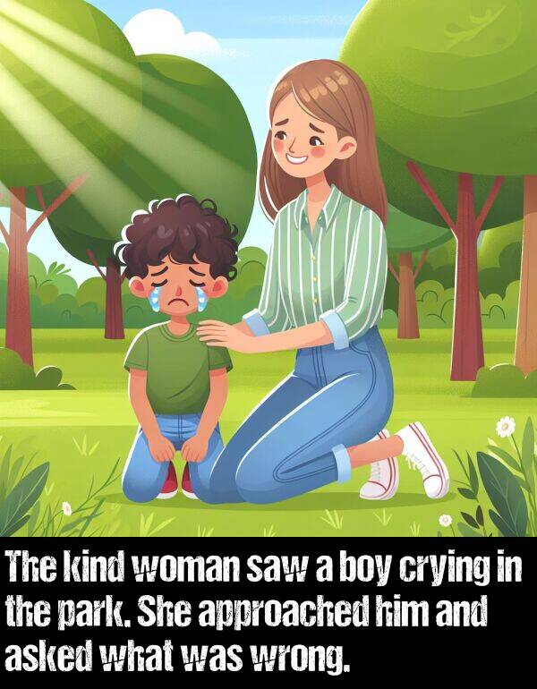 boy: The kind woman saw a boy crying in the park. She approached him and asked what was wrong.