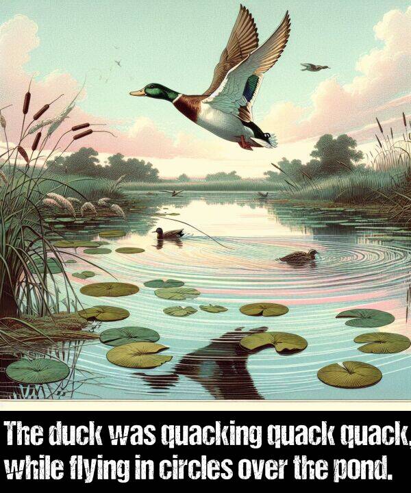 while: The duck was quacking quack quack, while flying in circles over the pond.