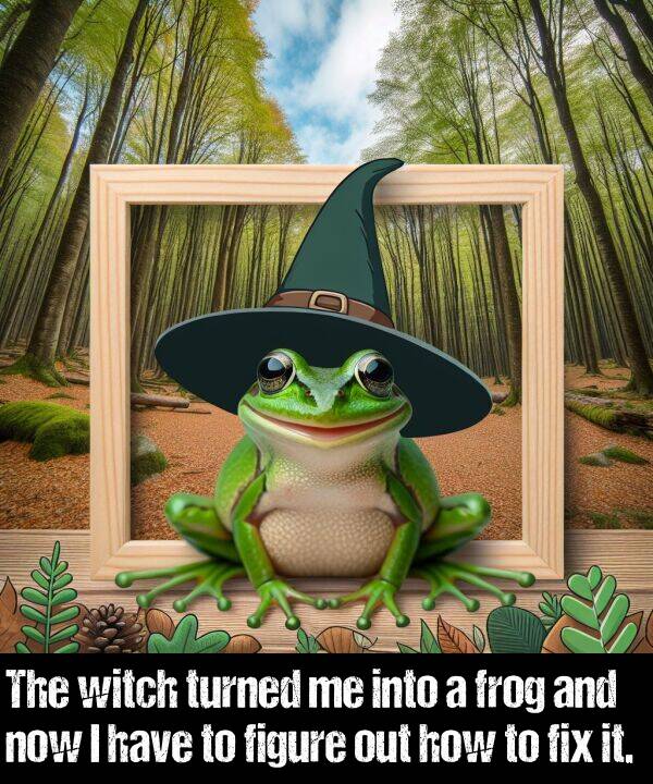 how: The witch turned me into a frog and now I have to figure out how to fix it.