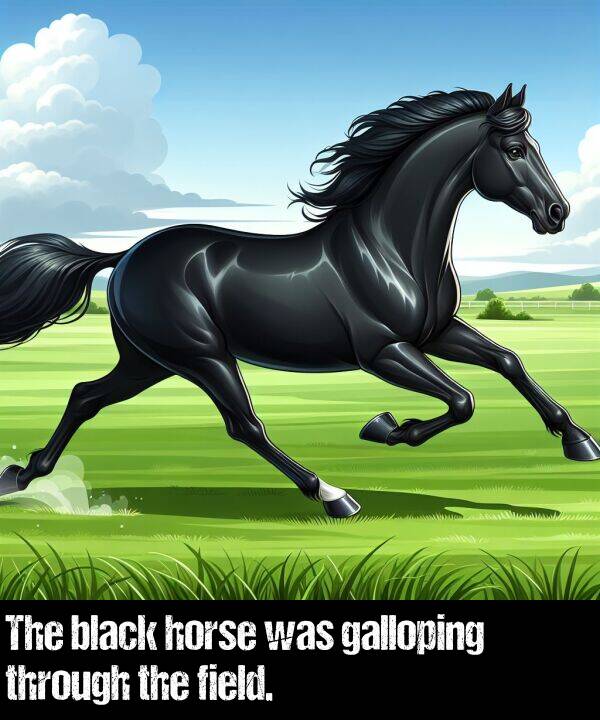 black: The black horse was galloping through the field.