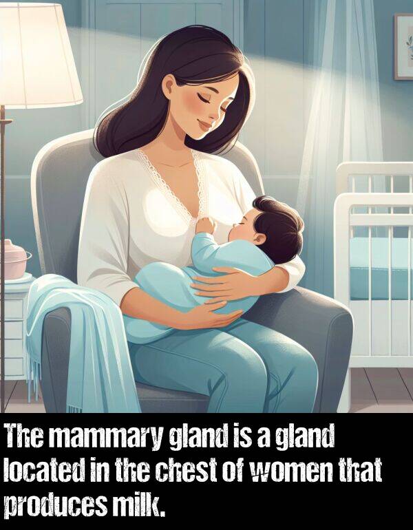 produces: The mammary gland is a gland located in the chest of women that produces milk.