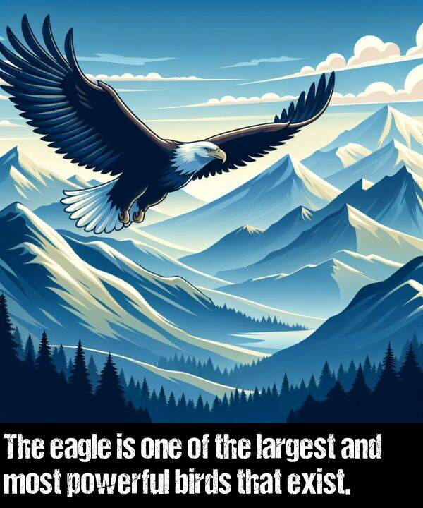powerful: The eagle is one of the largest and most powerful birds that exist.