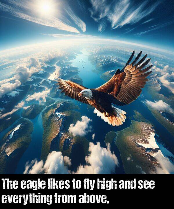 likes: The eagle likes to fly high and see everything from above.