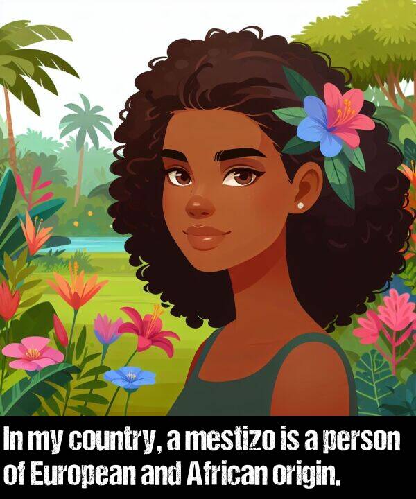 origin: In my country, a mestizo is a person of European and African origin.