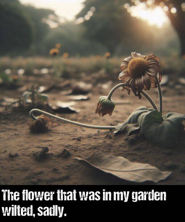 sadly: The flower that was in my garden wilted, sadly.