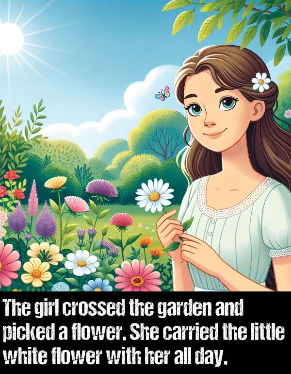 white: The girl crossed the garden and picked a flower. She carried the little white flower with her all day.