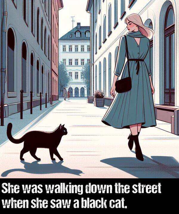 black: She was walking down the street when she saw a black cat.