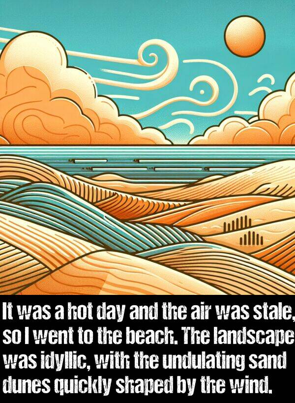 beach: It was a hot day and the air was stale, so I went to the beach. The landscape was idyllic, with the undulating sand dunes quickly shaped by the wind.