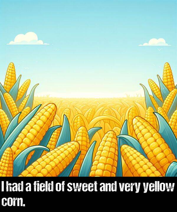 had: I had a field of sweet and very yellow corn.
