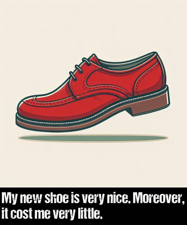 cost: My new shoe is very nice. Moreover, it cost me very little.