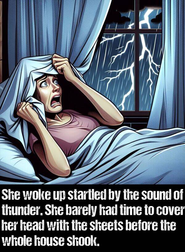 whole: She woke up startled by the sound of thunder. She barely had time to cover her head with the sheets before the whole house shook.
