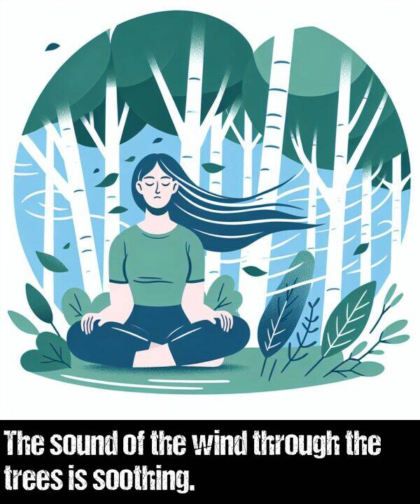 through: The sound of the wind through the trees is soothing.