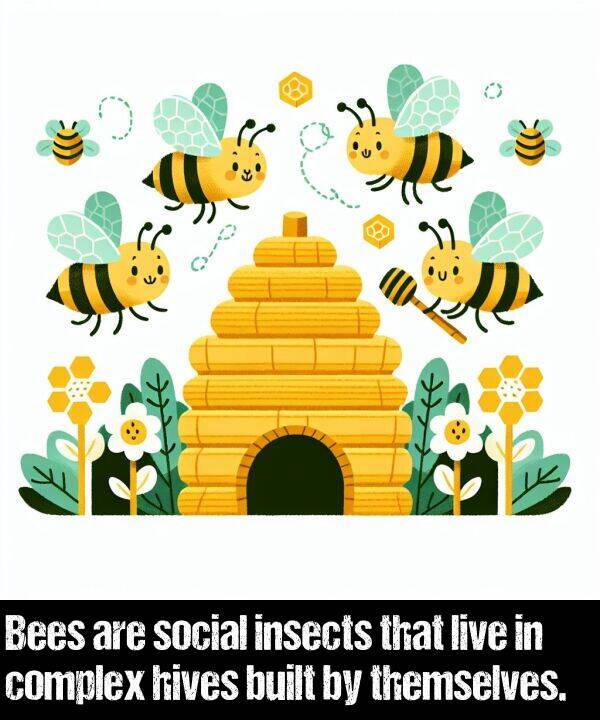 hives: Bees are social insects that live in complex hives built by themselves.
