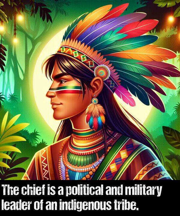 leader: The chief is a political and military leader of an indigenous tribe.