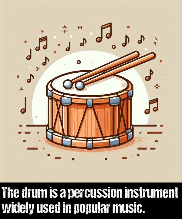 used: The drum is a percussion instrument widely used in popular music.