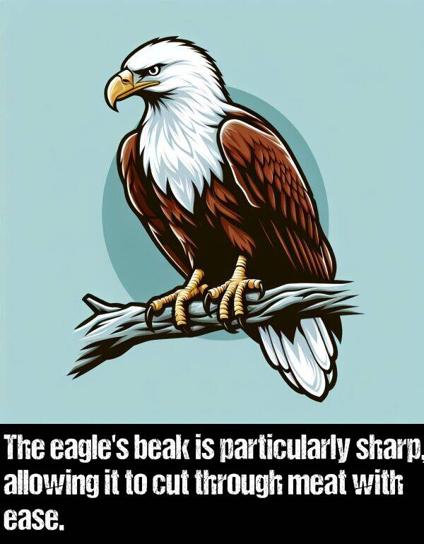 ease: The eagle's beak is particularly sharp, allowing it to cut through meat with ease.