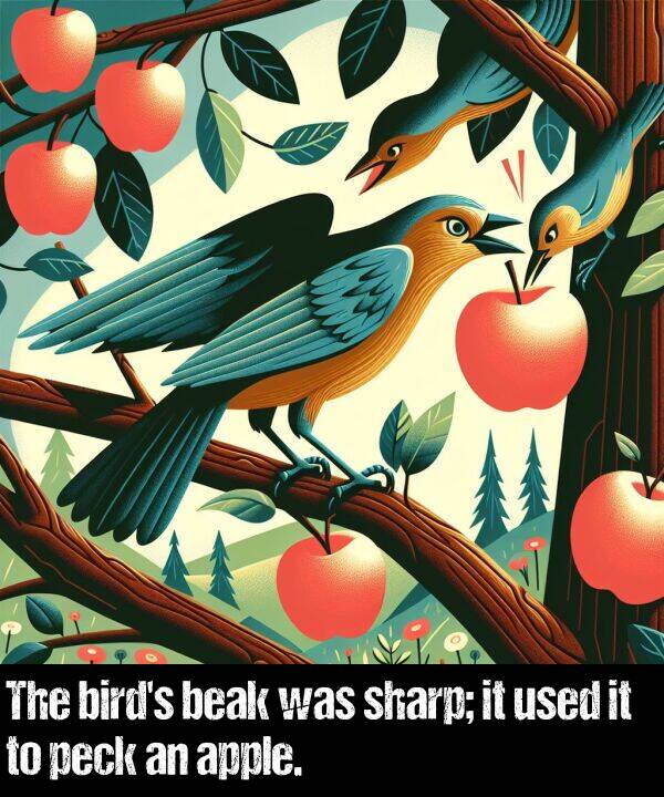used: The bird's beak was sharp; it used it to peck an apple.
