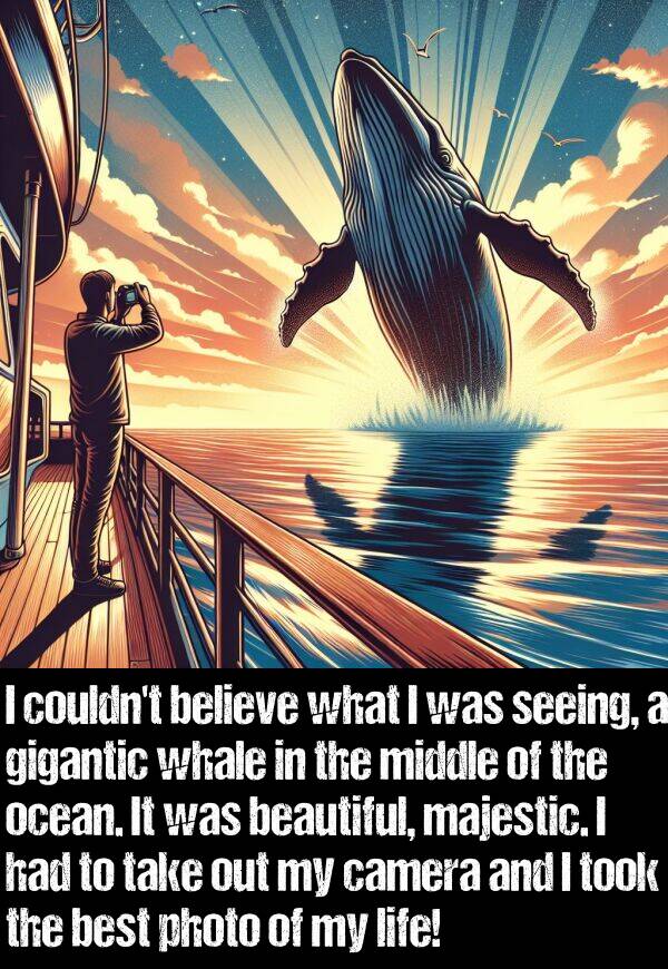 middle: I couldn't believe what I was seeing, a gigantic whale in the middle of the ocean. It was beautiful, majestic. I had to take out my camera and I took the best photo of my life!