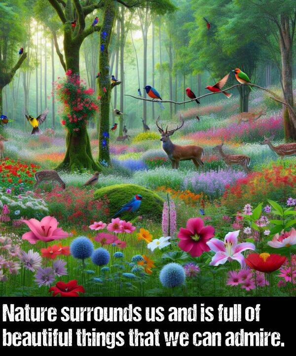admire: Nature surrounds us and is full of beautiful things that we can admire.