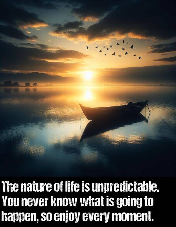 what: The nature of life is unpredictable. You never know what is going to happen, so enjoy every moment.