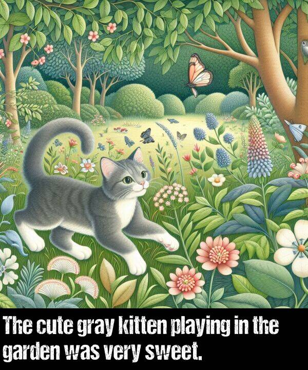 garden: The cute gray kitten playing in the garden was very sweet.