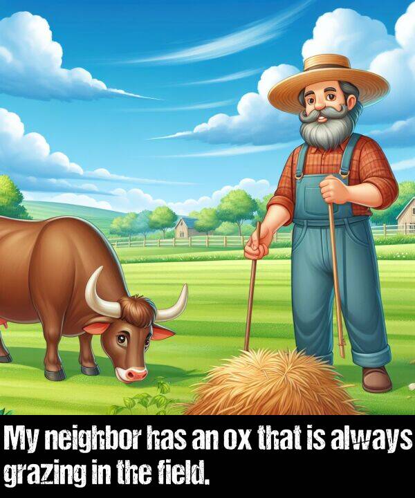 field: My neighbor has an ox that is always grazing in the field.
