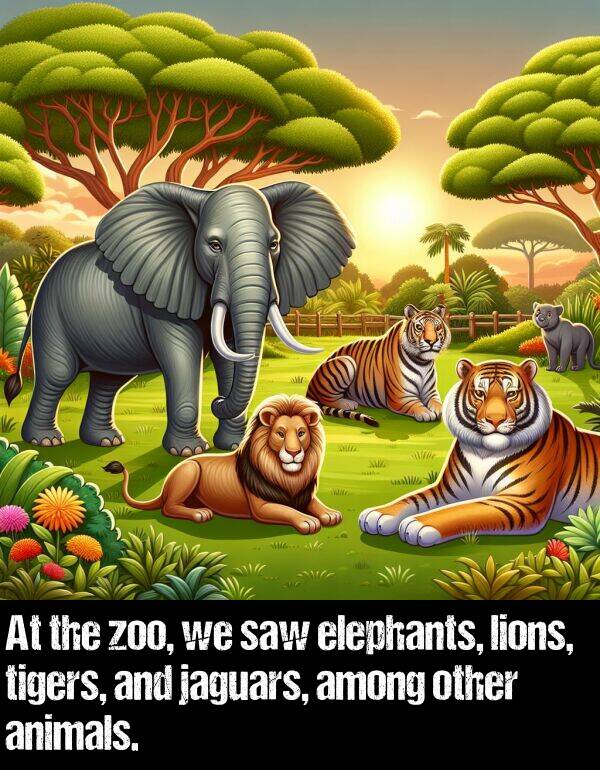 zoo: At the zoo, we saw elephants, lions, tigers, and jaguars, among other animals.