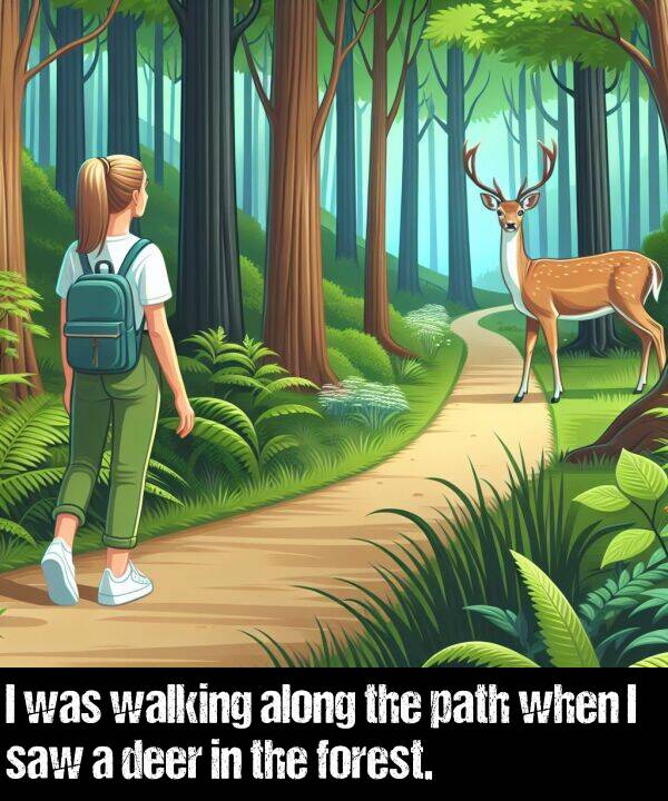 when: I was walking along the path when I saw a deer in the forest.