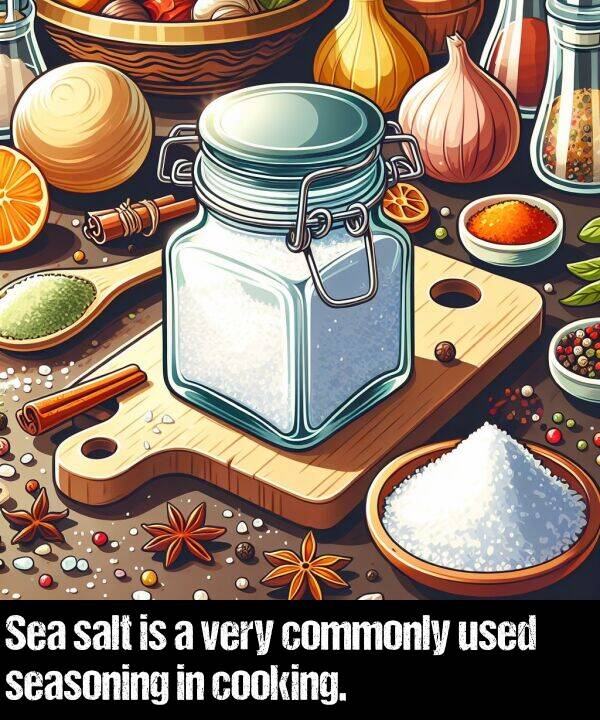 used: Sea salt is a very commonly used seasoning in cooking.