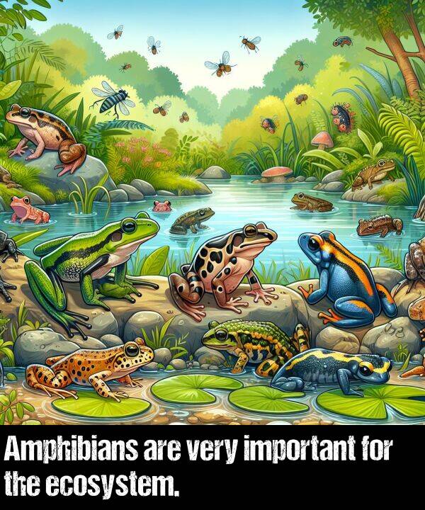are: Amphibians are very important for the ecosystem.