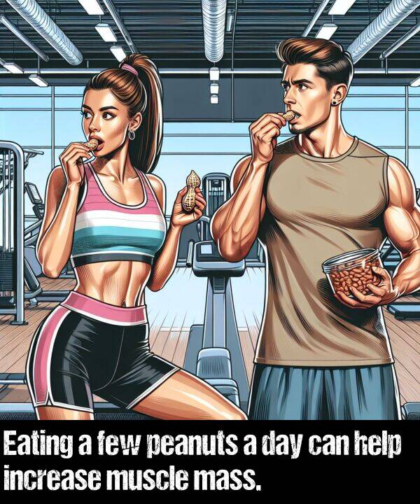 few: Eating a few peanuts a day can help increase muscle mass.