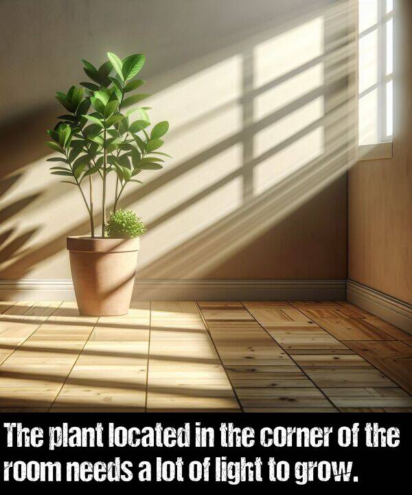 located: The plant located in the corner of the room needs a lot of light to grow.