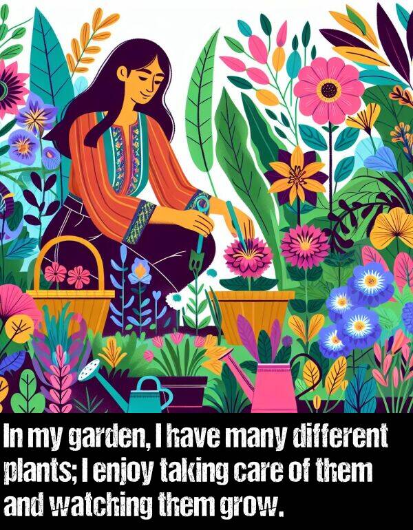 them: In my garden, I have many different plants; I enjoy taking care of them and watching them grow.