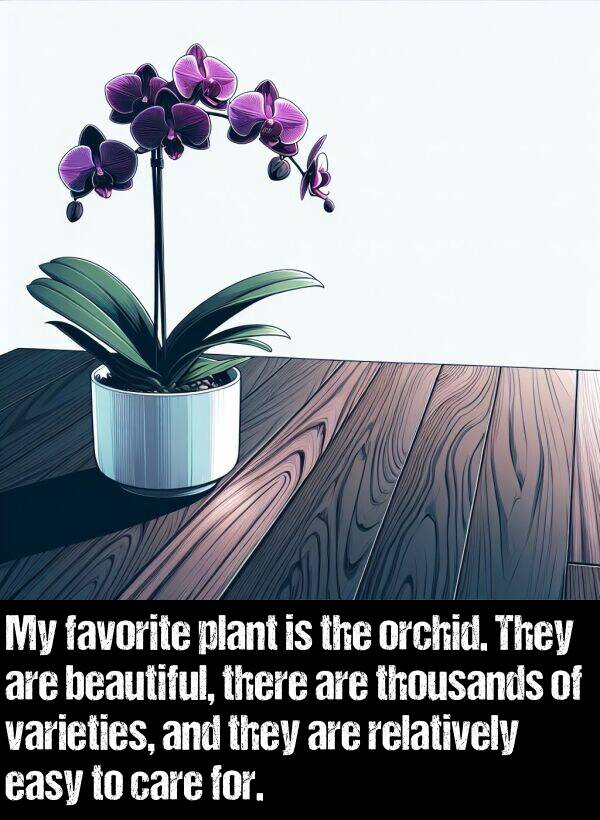 easy: My favorite plant is the orchid. They are beautiful, there are thousands of varieties, and they are relatively easy to care for.