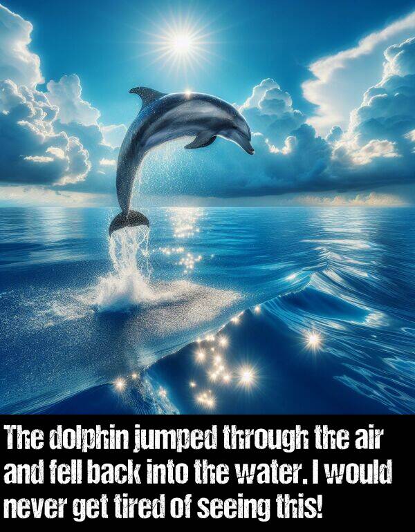 back: The dolphin jumped through the air and fell back into the water. I would never get tired of seeing this!