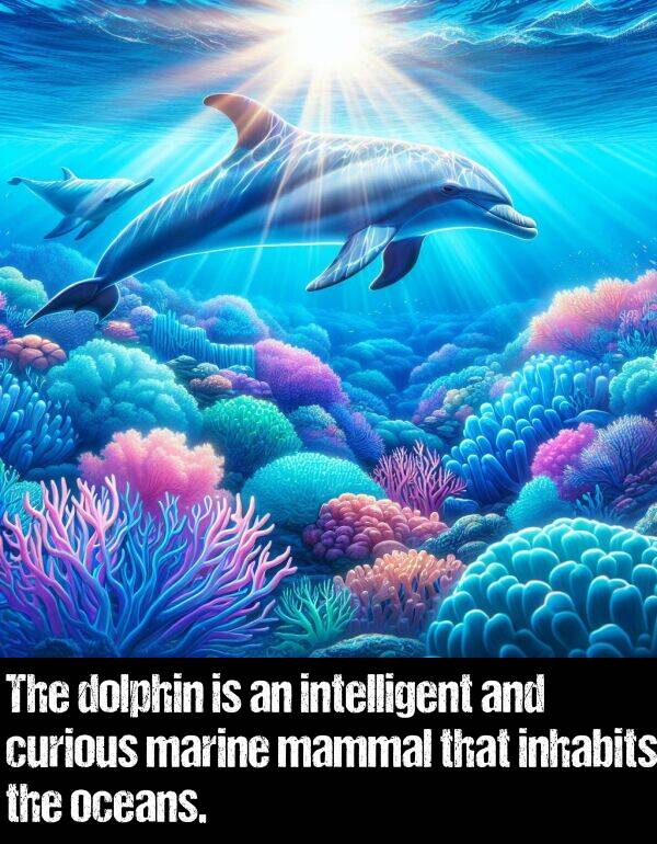 marine: The dolphin is an intelligent and curious marine mammal that inhabits the oceans.