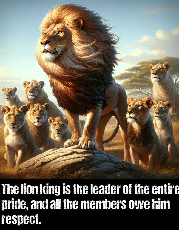 leader: The lion king is the leader of the entire pride, and all the members owe him respect.