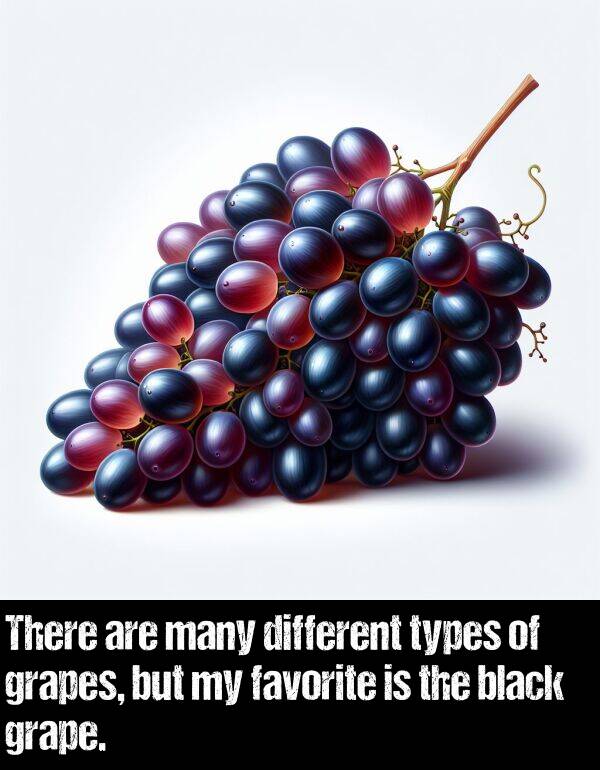 black: There are many different types of grapes, but my favorite is the black grape.